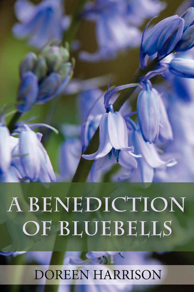 A Benediction of Bluebells