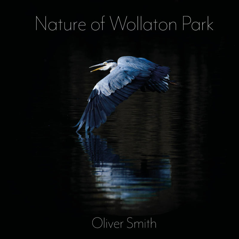 Nature of Wollaton Park
