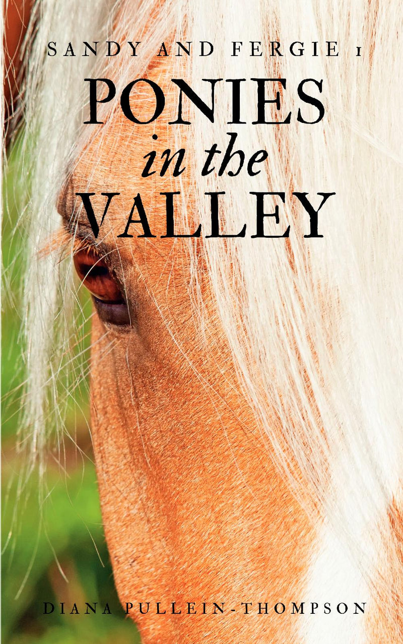 Ponies in the Valley