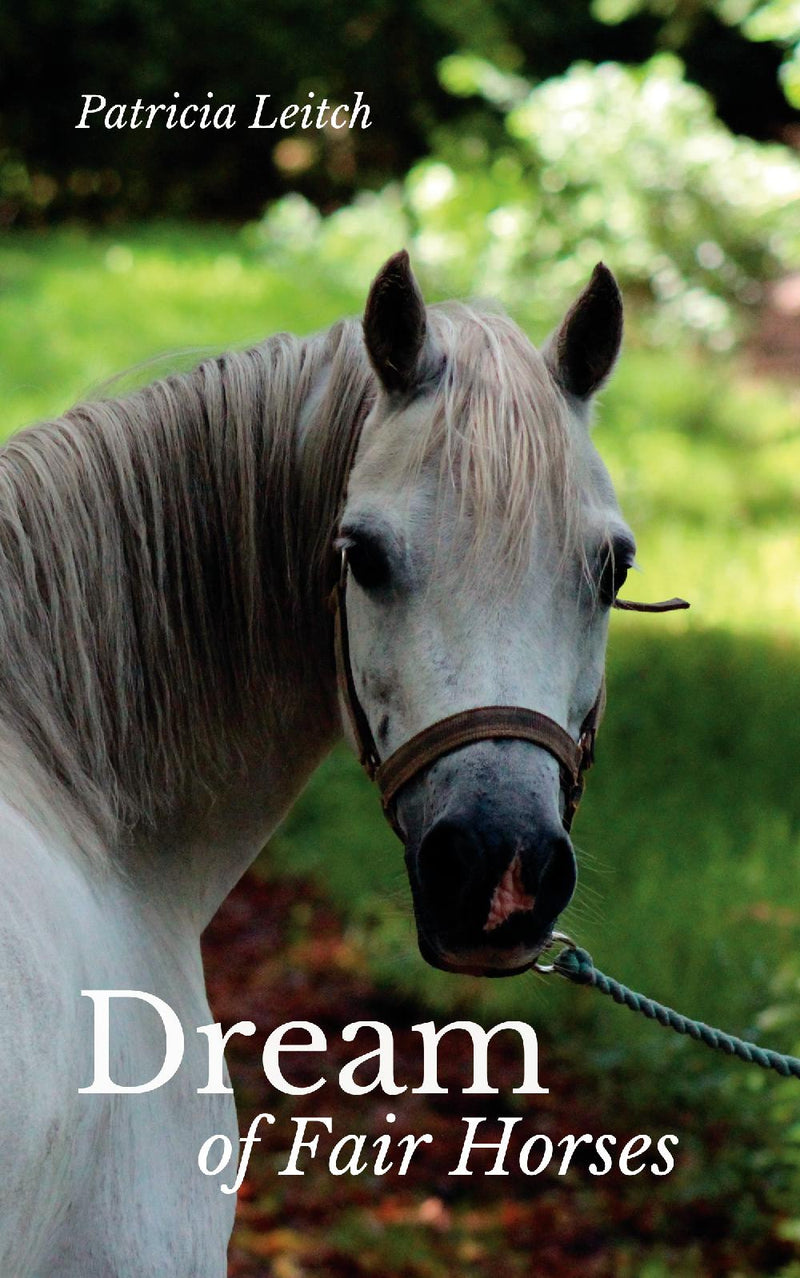Dream of Fair Horses
